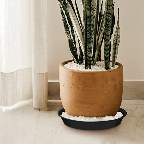 6 Pack Plant Saucer 12 14 16 18 20 22 Inch Plastic Plant Tray, Sturdy and Durable Flower Pot Container Accessories Plant Pot Saucers for Indoor and Outdoor (16 Inch, Black) - size: 16 Inch