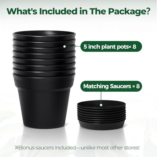 T4U Small Plant Pots 5 Inch 8 Pack, Plastic Indoor Flower Pots Saucer Black | Succulent cactus herbs, Desk windowsill shelf, Snake tongue seedling, Mini compact lightweight - color: Black, size: 5 inch