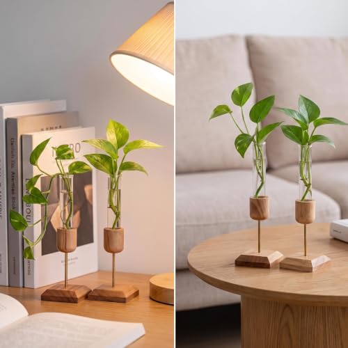 2Pcs Plant Propagation Vases with Wooden Stand | Small Vases for Hydroponic Plants Cutting Office Home and Garden Decor