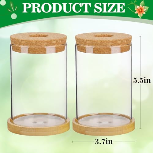 Biggun 2 Pcs Glass Plants Propagation Stations for Home Office Decor