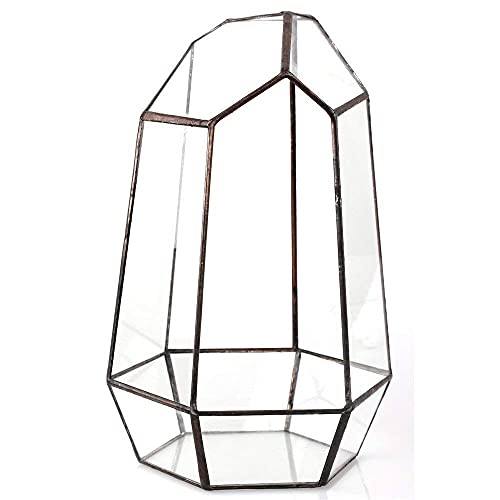 NCYP Geometric Glass Terrarium Set of 2, Modern Indoor Tabletop Balcony Decor Flower Planter Pot Black DIY Display Container for Succulent Fern Air Plants Miniature Fairy Garden (No Plants)