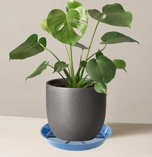 Plant Saucer Pot Tray 8 inch, 6 Packs Flower Planter Saucers and Drip Trays, Blue - color: Blue, size: 8" - 6 Pack