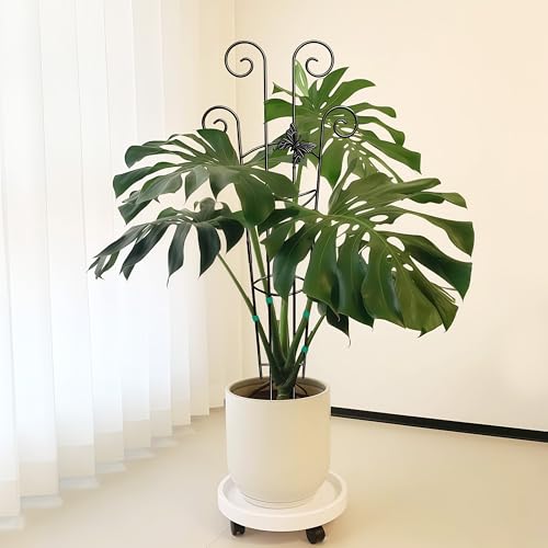 Coomin 32.6in Monstera Plant Support Trellis with One Butterfly, 2P | Metal Garden Plant Trellis for Climbing Plants, Fits for Pothos Vine Snake Climber Support - size: 32in,butterfly/2p