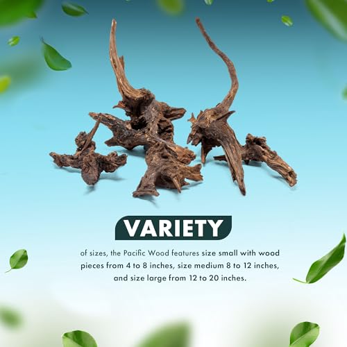 Natural Aquarium Driftwood for Fish Tanks, Terrarium, Reptile Habitats, Freshwater Aquatic Decor - Small to Large Pieces (Pacific Wood (Small) 4-8", 1 Piece) - size: 1 Piece