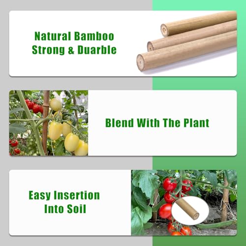 Bamboo Stakes,3Feet,50Pcs,Plant Bamboo Post,GUANGYE,Bamboo Garden Stakes - size: 3Ft,50Pack