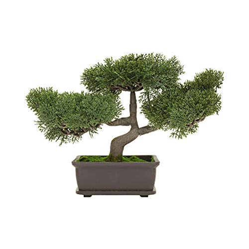 Bonsai Pots 3 Pack, 6.5 Inch Plastic Bonsai Training Pots with Trays | Compact rectangle pots with drainage holes, built-in mesh and matching trays for small bonsai, succulents and cacti - size: Small