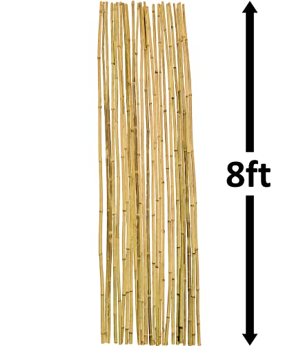 Natural Bamboo Poles, Eco-Friendly Plant Support Garden Stakes 8ft Long, Diameter of 3/4" (25-Count) - size: 8 ft, 3/4" Diameter (25-Count)