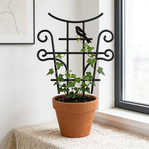 13.5 Inch Small Trellis for Potted Plants 2 Pack Metal Plant Trellis Indoor