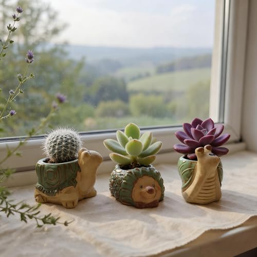 Artistic Ceramic Animal Planter Pots & Figurines Set with Drainage Holes - Mini Succulent Planters, Lifelike Decorative Statues for Fairy Gardens & Home Decor Gifts (Hedgehog, Turtle, Snail)
