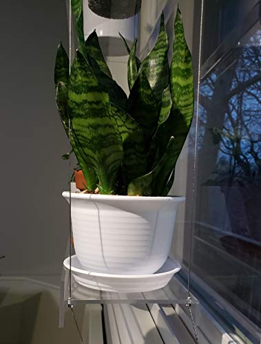 Hanging Acrylic Shelves for Windows (34" Wide, 4 Shelves - 55" Tall) - size: 4 Shelves - 55" Tall, style: 34 Inches Wide
