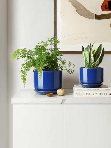 LE TAUCI Ceramic Plant Pots, 4.3+5.3+6.8 inch, Set of 3, Planters with Drainage Hole and Saucer, Indoor Flower Pot with Hole Mesh Pad, Gifts for Mom, Sapphire Blue - color: Sapphire Blue