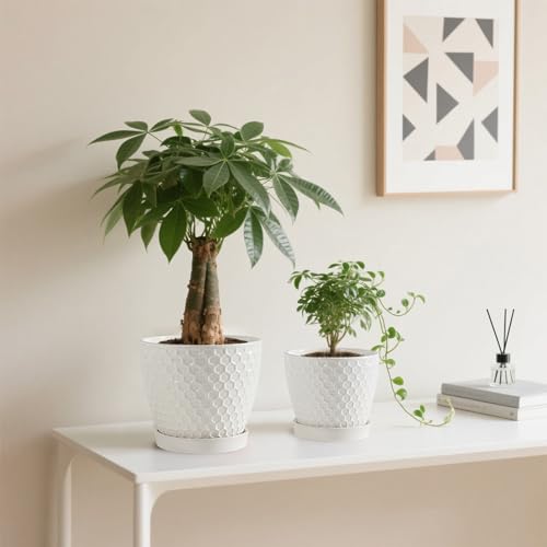 Docrin 2 Pack of 5.2 Inch White Ceramic Plant Saucer,Indoor & Outdoor Universal Drainage Tray,Durable & Thick Glazed Pot Base Water Tray
