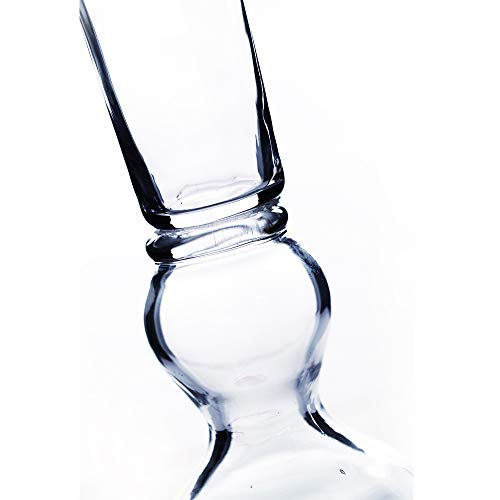 WGV Trumpet Glass Vase, Open Width 8", Height 23.5", Clear Large Floral Planter Centerpiece, Wedding Event Home Decor, 1 Piece (VTV0824) - size: 8"x23.5"H