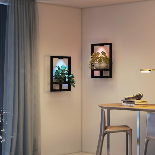 Wall Planters for Indoor Plants Wall Plant Holder For Indoor Plant Stand