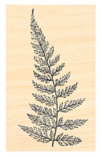 P121 Fern Leaf Rubber Stamp