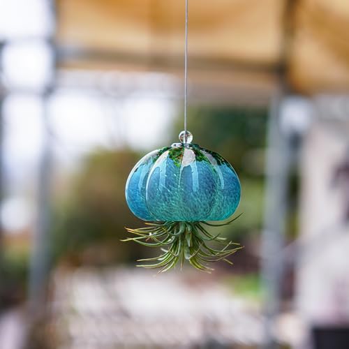 Hand Blown Glass Jellyfish Hanging Air Planter Garden Decor - color: Jellyfish-sea Blue