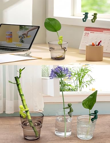 Plant Propagation Buddy, 3 Pcs, Monstera Plant Support