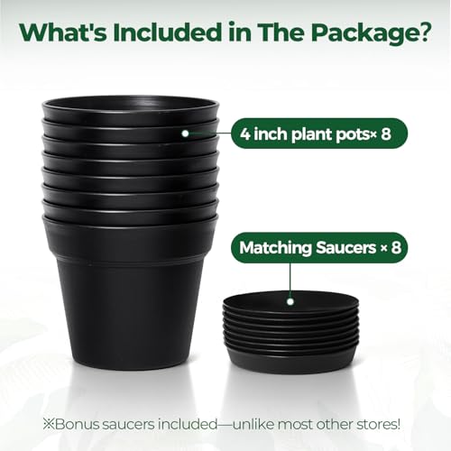 T4U Small Plant Pots 4 Inch 8 Pack, Plastic Indoor Flower Pots Saucer Black | Succulent cactus herbs, Windowsill seedling starters, Desk office shelf, Mini compact lightweight - color: Black, size: 4 inch