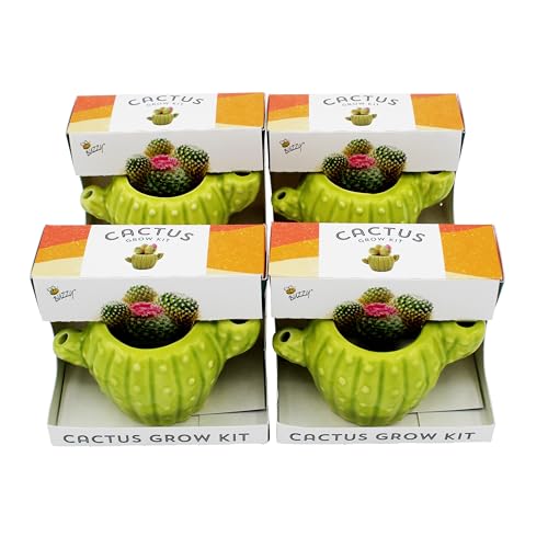 Buzzy Seeds Mini Cactus Grow Kit 4-Pack, Cactus-Shaped Ceramic Pots