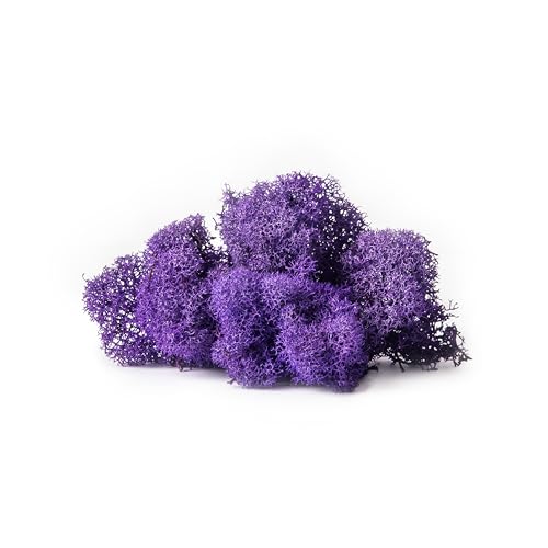SuperMoss (25124) Reindeer Moss Preserved, Appx. 2oz, Purple - color: Purple, size: 80.75 cubic inch (in3) Bag (Appx. 2oz)