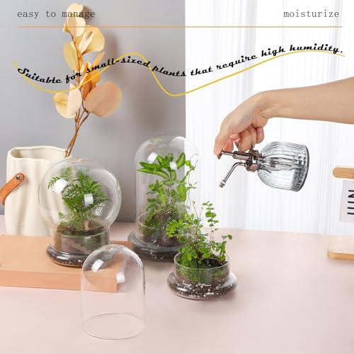 WHJY Round Glass Cloche for Indoor Plants Small Terrarium Glass Cloche with Base Mini Cloche Dome with Base for Display Home Decor - size: 6.7"