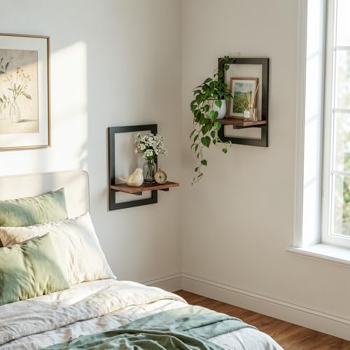 Housolution 2 Pack Wall Plant Holder, Picture Frame Design Plant Shelf - size: 2 Pack