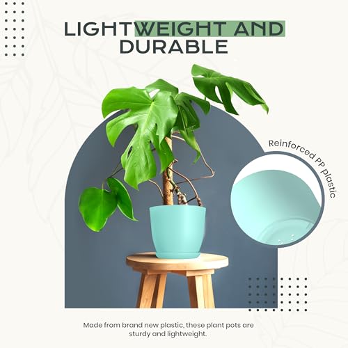 Plant Pots Indoor with Drainage, 10 Pack Multi-Size Planters Set, Aqua - color: Aqua, size: Pack of 10