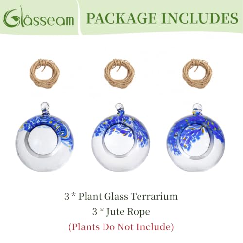 Glasseam Hanging Glass Plant Terrarium: 3Pcs Hanging Airplant Fern Holders