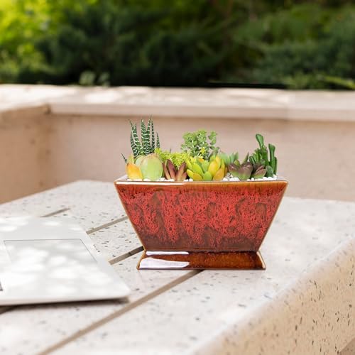 Succulent Pots, 7'' Large Plant Pot with Drainage, Shallow Planters - color: Red