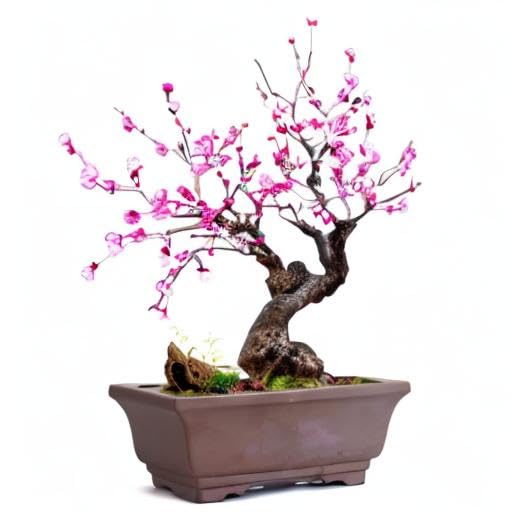 Dahlia 6" L x 4" W Rectangular Zisha Bonsai Planter/Succulent Pot/Flower Pot, Dark Brown - color: Style 19: Dark Brown