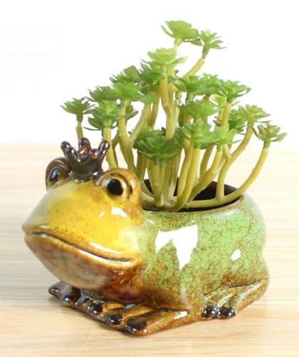 Animal Shaped Planter Flower Pot Frog Shape Small Succulent pots with Drainage Ceramic Animal Planter, Indoor Plant Container Planter with Drainage Hole Home Office Desk Garden (Frog) - color: Frog