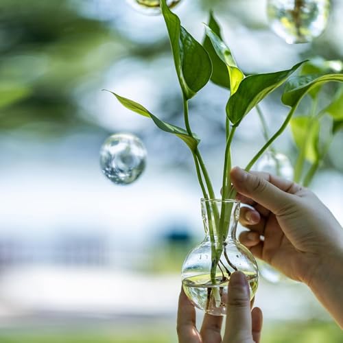 3 pcs Window Propagation Stations, Easy to Install Plant Propagation Bulbs with Suckion Cups, No Nails Wall Hanging Planter Propagation Station, Glass Plant Terrarium Vase