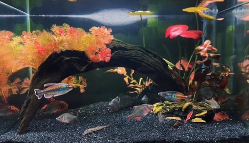 YISZM Aquarium Sand, 5lbs Black Fish Tank Sand, Aquarium Gravel Substrate - color: Black, size: 5 lbs