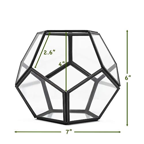 Cute Farms Glass Terrarium Kit | Just Add Your Own Plants (Geometric Glass + Live Plants) - style: Geometric Glass + Live Plants