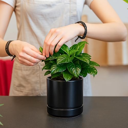 D'vine Dev 4-Pack Ceramic Pots with Saucers, Black, 4.7 in, 94-X-B-2 - color: Black, size: 4.7 Inch