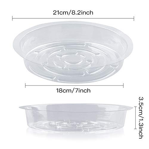 Plant Saucer,5 Pack Heavy Duty Plastic Plant Saucer Drip Trays Small Plant Plate Dish,Heavy Duty Clear Plastic Plant Saucers Flower Pot Tray Flower Pot Drip Pan for Indoor and Outdoor Plants (8 Inch) - size: 8 Inch
