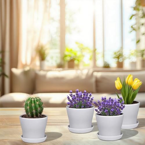JERIA 16-Pack 4" Plastic Flower Plant Pots Thickened Seedlings Nursery Pots, Flower Plant Container Seed Starting Pots with Pallet (White) - color: White
