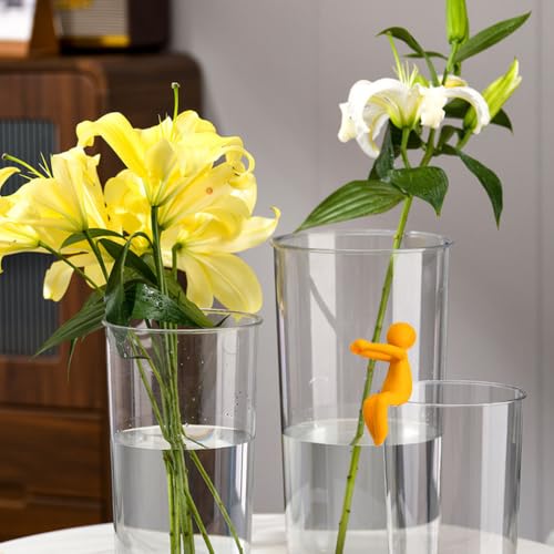 Plant Propagation Buddy, 6 Pack, 2.76 Inch