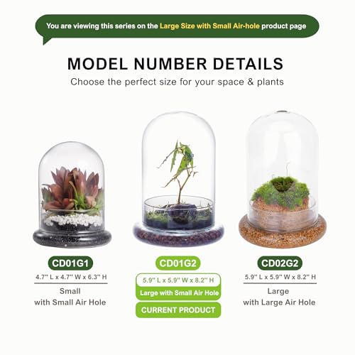 NCYP Glass Cloche Dome with Air Hole and Base, 5.9 x 5.9 x 8.2 Inches - size: 5.9x5.9x8.2inches