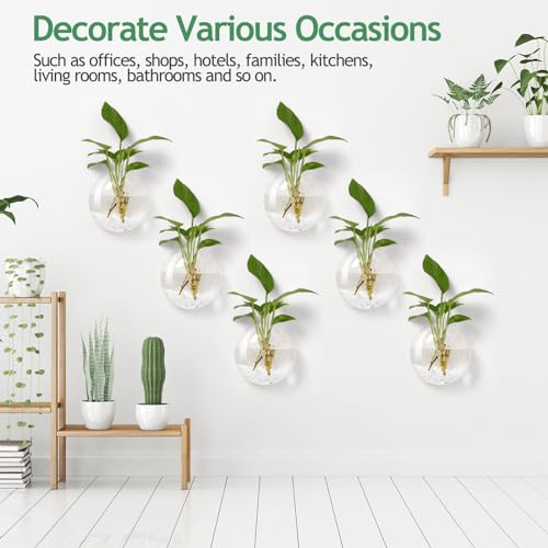 Layhit 8 Pcs Wall Hanging Planters Terrarium Glass Propagation Wall Mounted Planter Oblate Flower Vase Clear Glass Plant Containers for Hydroponics Plants Home Office Garden Decor