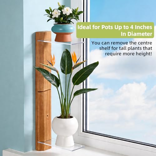 Window Sill Plant Shelf, 3 Tiered Window Plant Shelves Indoor Plant Stand with Hook-and-Loop, Renter Friendly