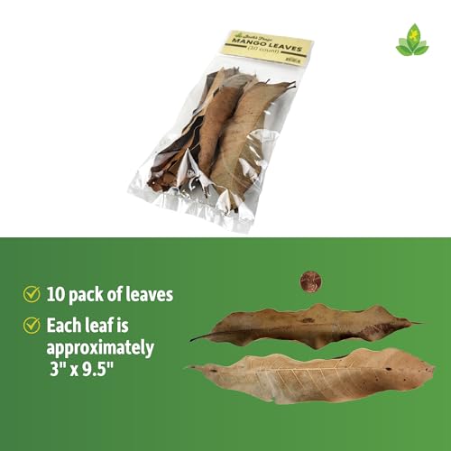 Josh's Frogs Mango Leaf Litter (10 Count)