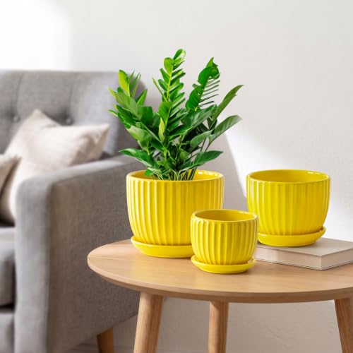 Ceramic Planters,Yellow Plant Pots with Drainage Holes and Saucers Set of 3 - color: Yelllow