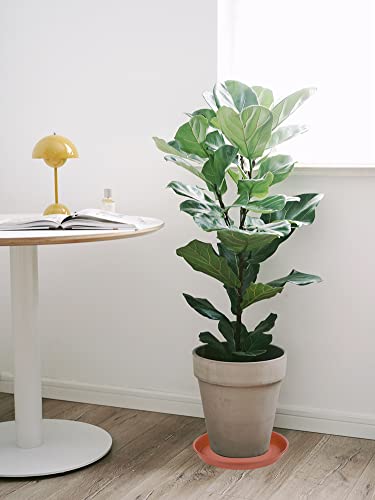 6 Pack of 12 inch Plant Saucer, Heavy Duty Plastic Planter Saucer 12" Round, Plant Tray for Pots, Flower Pot Saucers for Indoors, Flower Trays for Planter 11"/12" (12 inch, Terracotta) - size: 12" (6 pack)