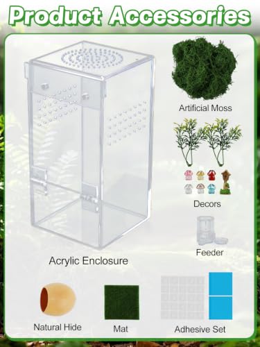 Escape-Proof One-Piece Jumping Spider Enclosure Accessories, Terrarium Kit