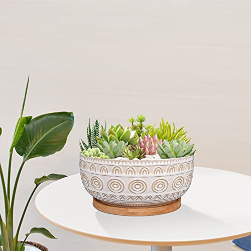 Eightpot 8 Inch Ceramic Succulent Planter Pot with Drainage Hole and Saucer Round Shallow Planter for Indoor Plants, White - color: White