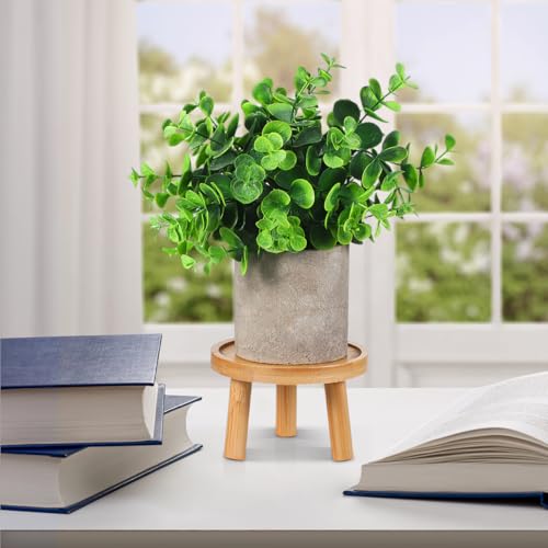 Levemolo 2Pcs Wooden Flower Pot Tray Base Indoor Plant Stand