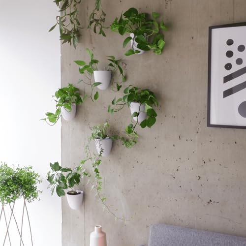Make Good PlantPod Luxe - Self-Watering Wall Planters (Set of 6) - Easy to Water and Install - Lightweight - Design Your Own Vertical Garden - Wall Planters for Indoor Plants - color: White