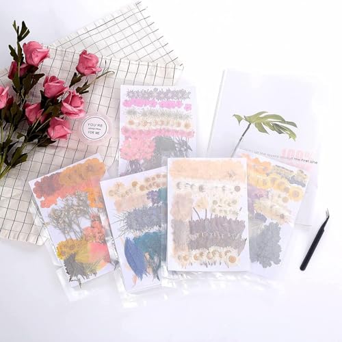 100 PCS Real Dried Pressed Flowers Leaves Natural Plant Herbarium for DIY Envelope Resin Mold Jewelry Making Craft (Pastel) - color: Pastel-100pcs