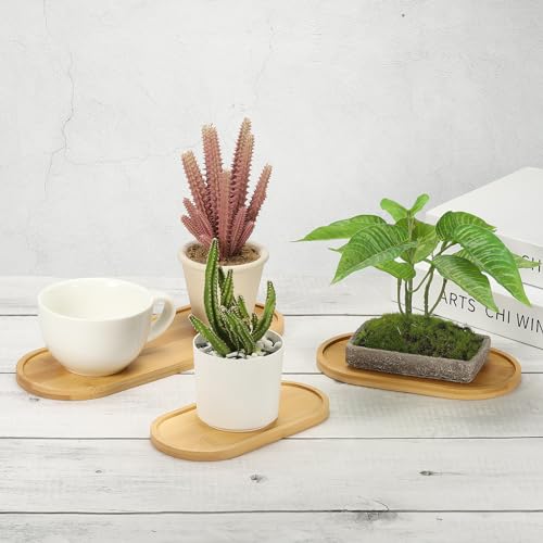 PATIKIL Bamboo Wood Saucer, 7x3.5 Inch Rectangular Wooden Plant Drainage Tray Bonsai Plants Saucer Succulent Pot for Home Balcony - size: 7" x 3.5" x 0.4"